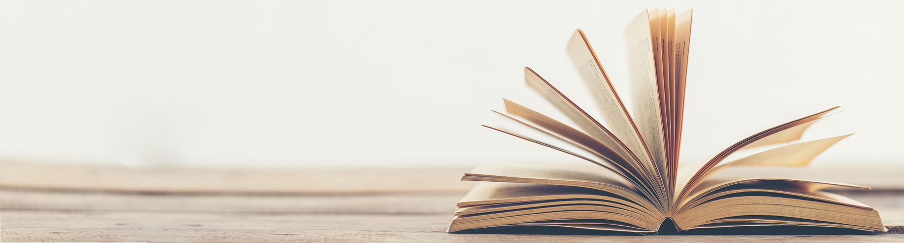Cursos de escritura