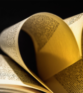 Curso de novela romántica