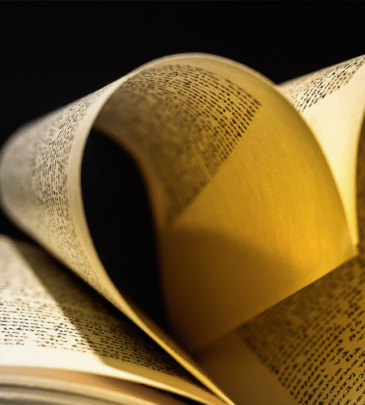 Curso de novela romántica