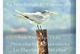 La libertad de las olas viaja a Valencia