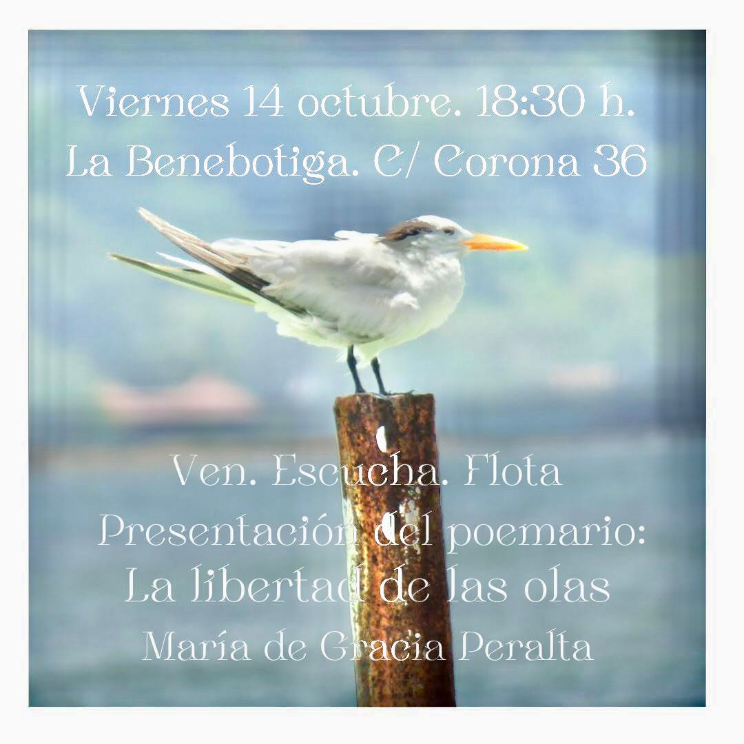 Presentación Valencia La libertad de las olas